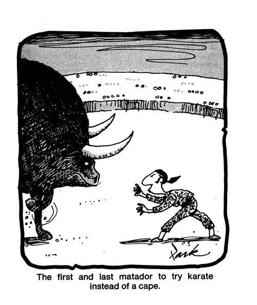 The first and last matador to try karate instead of a cape.