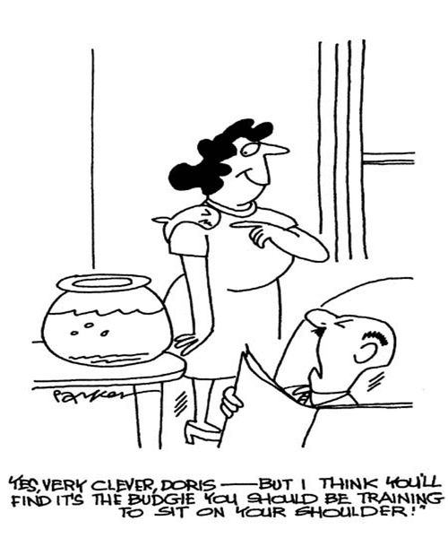 'Yes, very clever,Doris - but I think you'll find it's the budgie you  should be training to sit on your shoulder!'