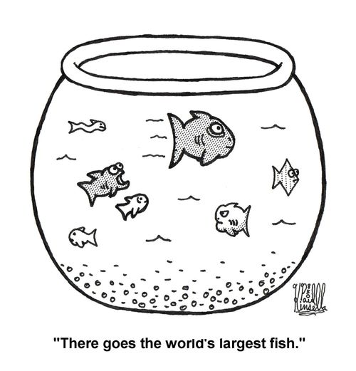 'There goes the world's largest fish.' (fish bowl)