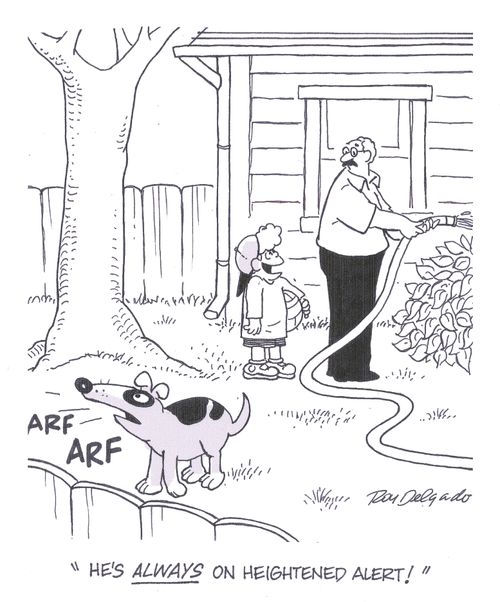 'He's always on the heightened alert!'