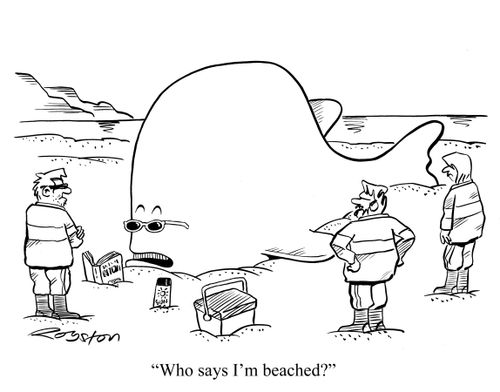 'Who says I'm beached?'
