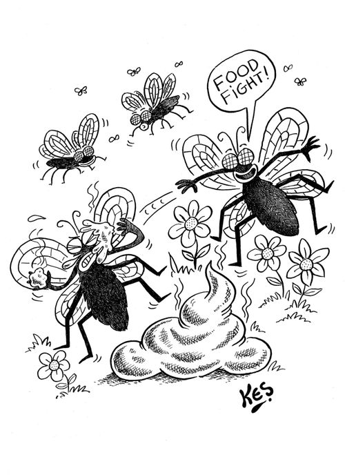 'Food fight!'