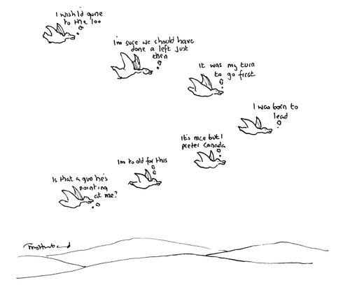 Geese's Thoughts.