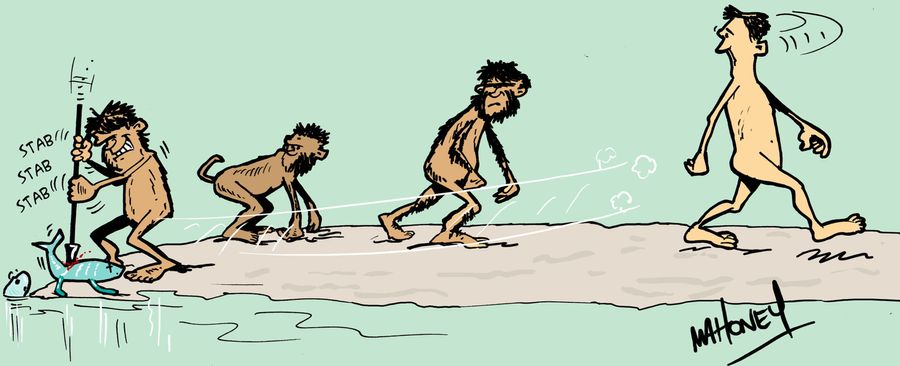 Evolution
