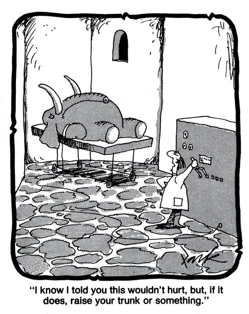 'I know I told you this wouldn't hurt, but, if it does, raise your trunk or something.'