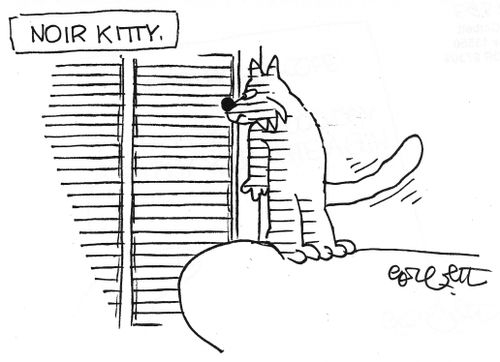 Noir kitty.
