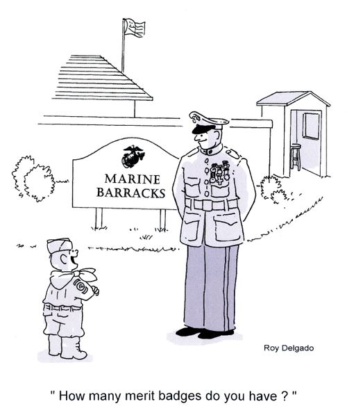 'How many merit badges do you have?'