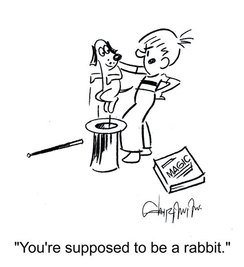 'You're supposed to be a rabbit.'