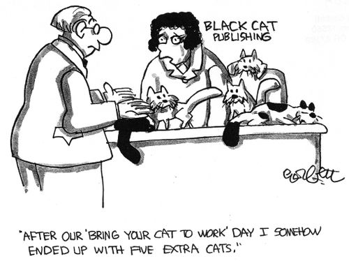 After bring your cat to work day, I ended up with 5 extra cats.