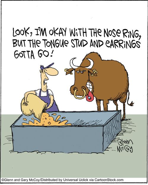 'Look I am okay with the nose ring, but the tongue and earrings have to go.'