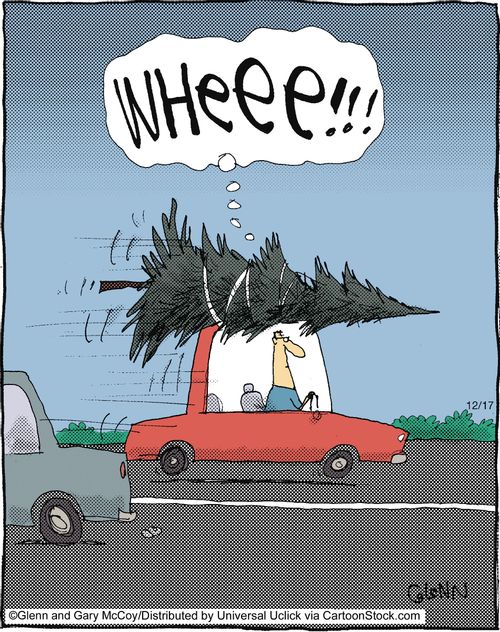 'Wheee!!!'