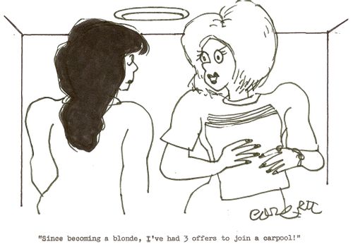 'Since becoming a blonde, I've had 3 offers to join a carpool!'