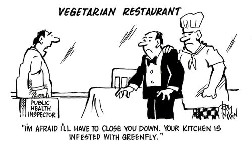 'I'm afraid I'll have to close you down. Your kitchen is infested with greenfly.'