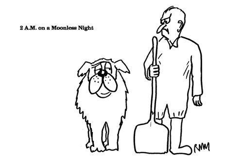 2 A.M. on a Moonless Night