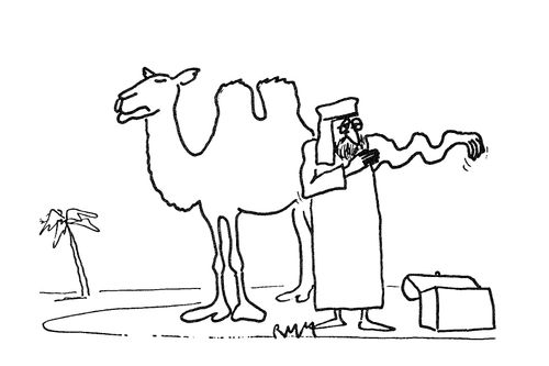 Desert Vet.