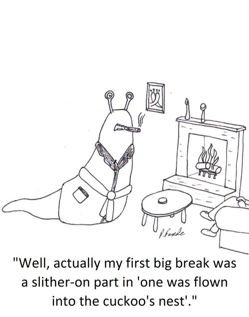 'Well, actually my first big break was a slither-on part in 'one was flown into the cuckoo's nest'.'