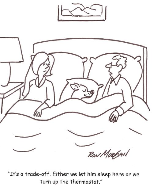 'It's a trade-off. Either we let him sleep here or we turn up the thermostat.'