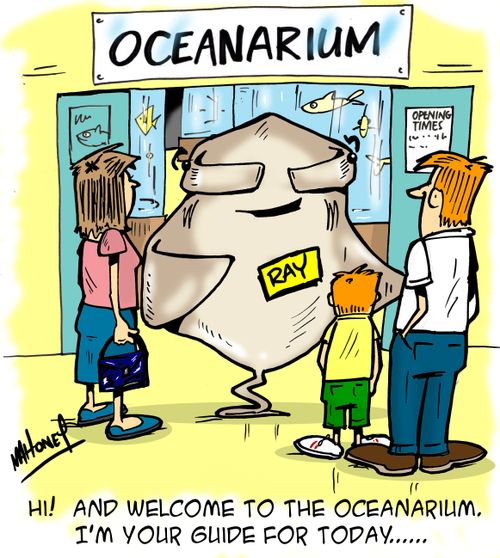 'Hi. & welcome to the oceanarium. I'm your guide for today...'