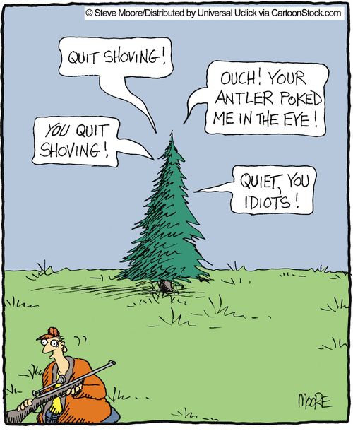 'Ouch! Your antler poked me in the eye!'