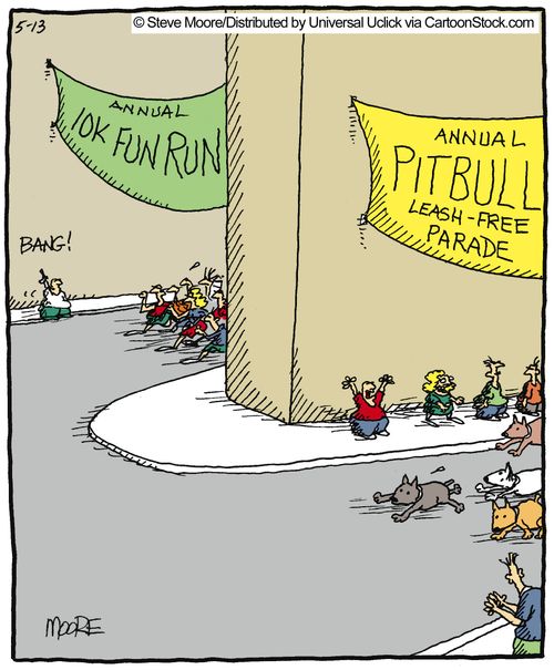 Fun run vs pitbull parade