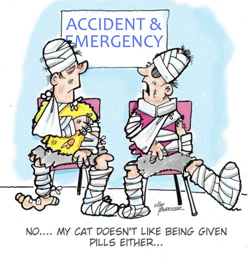 'No.... My cat doesn't like being given pills either...'