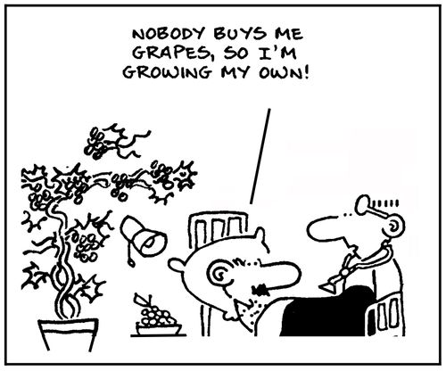 'Nobody buys me grapes, so I'm growing my own.'