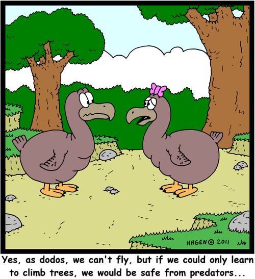 'Yes, as dodos, we can't fly, but if we could only learn to climb trees, we would be safe from predators...'