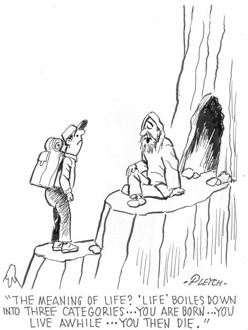 'The meaning of life? 'Life' boils down into three categories...you are born...you live awhile....you then die.'