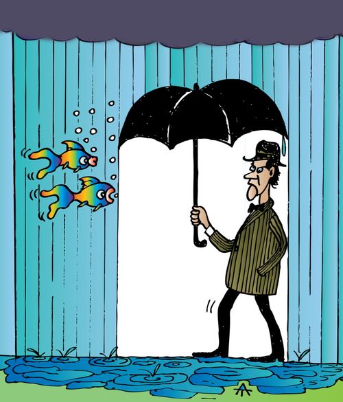 Fish in the Rain