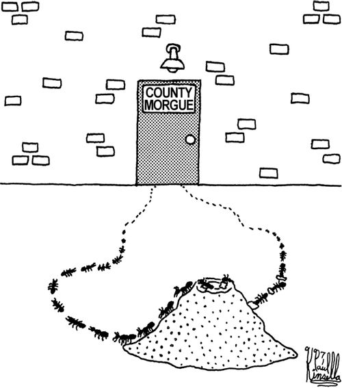 Ants breaking into the county morgue.