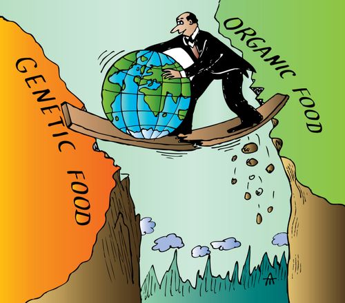Man rolling the world across a shaky bridge between organic food and genetic food.