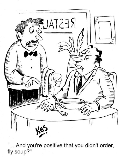 '... And you're positive that you didn't order, fly soup?'