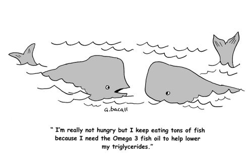 'I'm not really hungry but I keep eating tons of fish because I need the Omega 3 fish oil to help lower my triglycerides.'