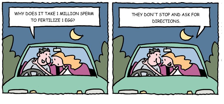 'Why does it take 1 million sperm to fertilize 1 egg?'