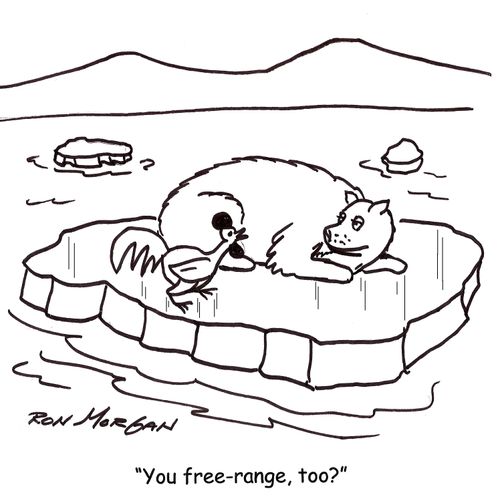 'You free-range, too?'