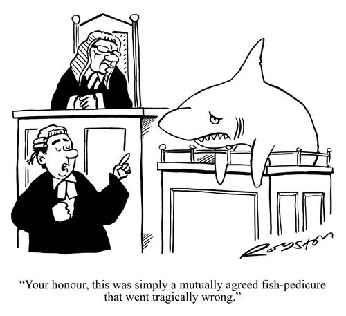 'Your honour, this was simply a mutually agreed fish-pedicure that went tragically wrong.'