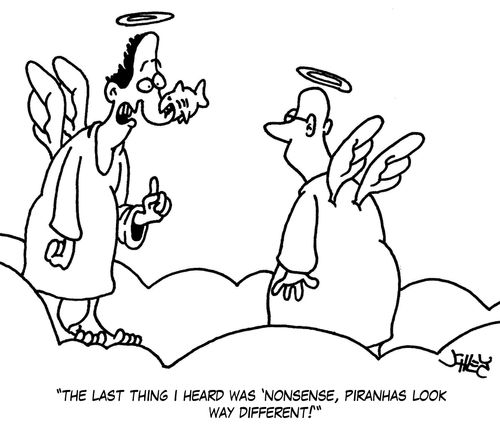 'The last thing I heard was 'Nonsense, Piranhas look way different!''
