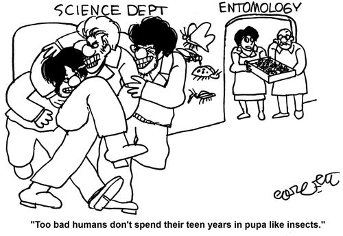 Science Dept...Entomology: 'Too bad humans don't spend their teen years in pupa like insects.'