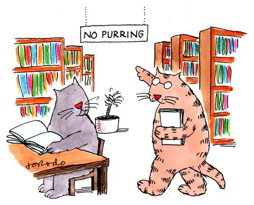'No Purring' sign in cat library.
