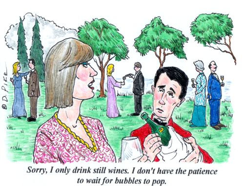 'Sorry, I only drink still wines. I don't have the patience to wait for bubbles to pop.'