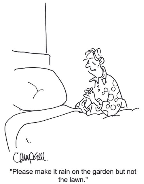 'Please make it rain on the garden but not the lawn.'