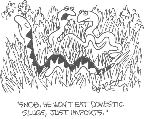 'Snob, he won't eat domestic slugs, just imports.'      