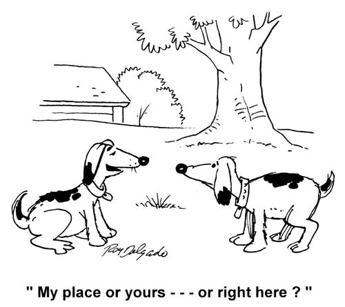 'My place or yours... or right here?'