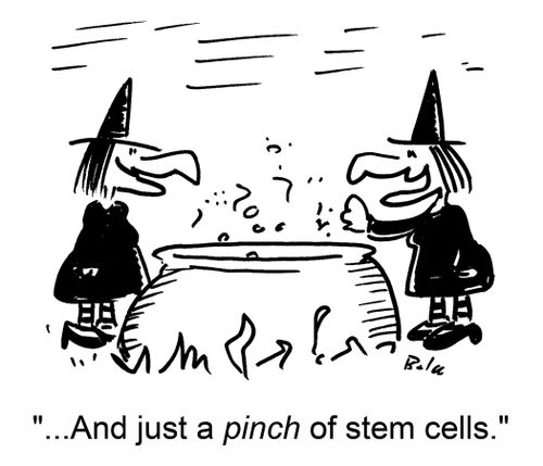 '...And just a pince of stem cells.'