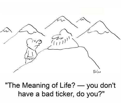 'The Meaning of Life? -- you don't have a bad ticker, do you?'