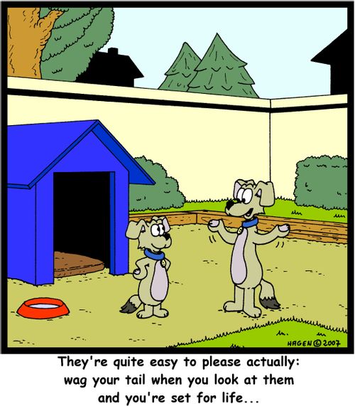 They're quite easy to please actually: Wag your tail when you look at them and you're set for life...