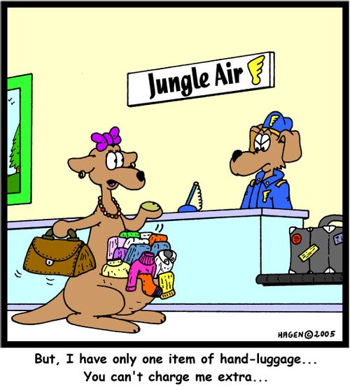 'But, I have only one item of hand-luggage... You can't charge me extra...'