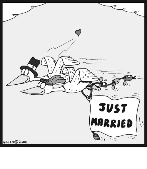 Birds: Just Married