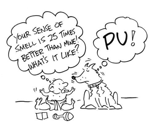 child thinking about dog's superior sense of smell. Dog thinking 'PU'!