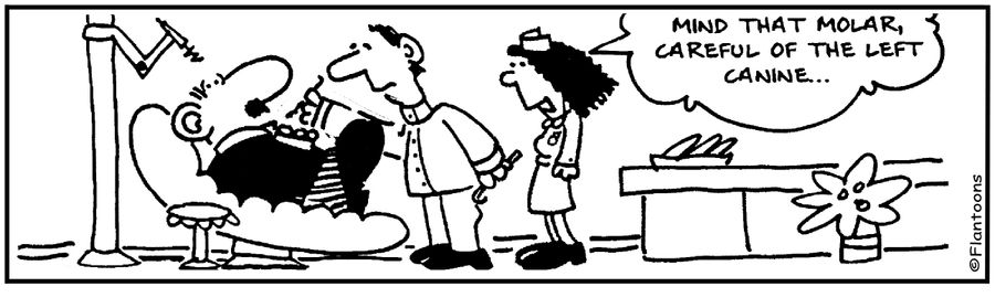  'Careful of that molar, careful of that canine.' 